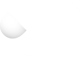 DSA_Prospect_Logo_Check_Only_White